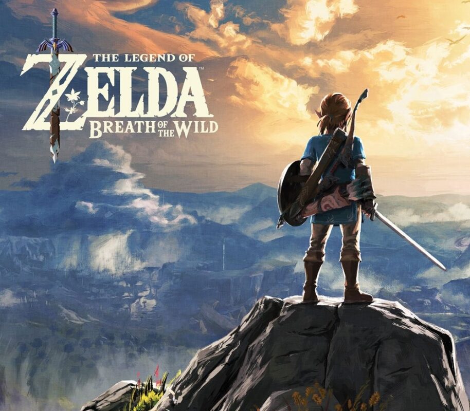 The Legend of Zelda: Breath of the Wild Nintendo Switch Access Switch Key