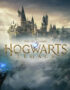 Hogwarts Legacy PC Steam CD Key